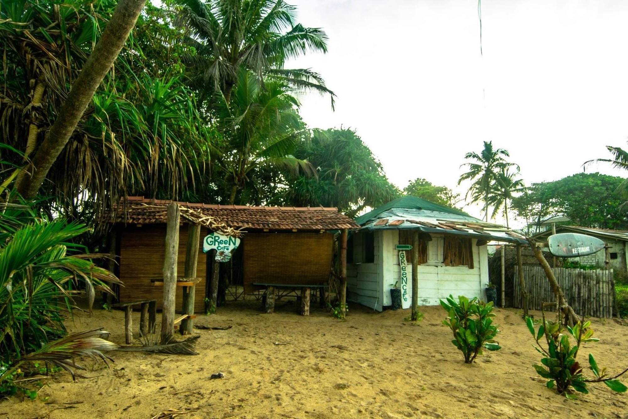 Hikkaduwa Backyard Beach Homestay Galle Exterior foto
