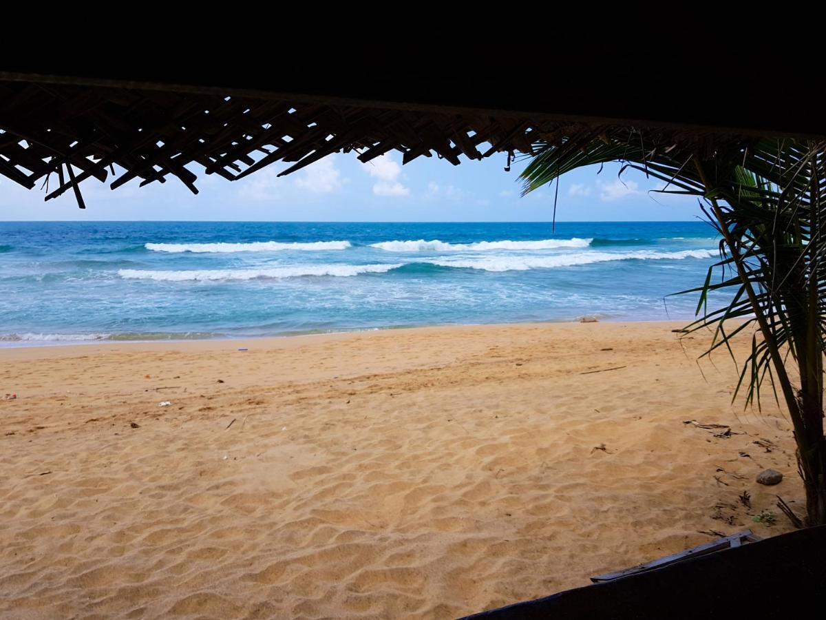 Hikkaduwa Backyard Beach Homestay Galle Exterior foto